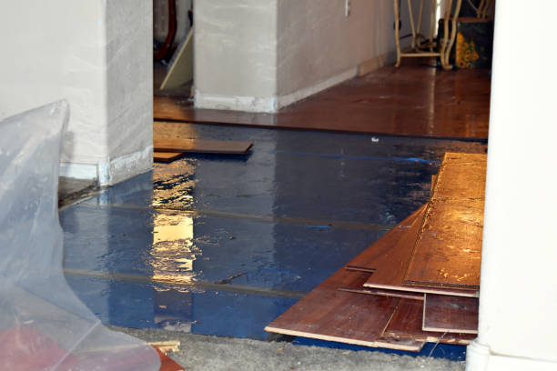 Professional Water Damage technician working in Olga, FL